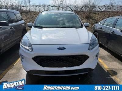 2020 Ford Escape SEL