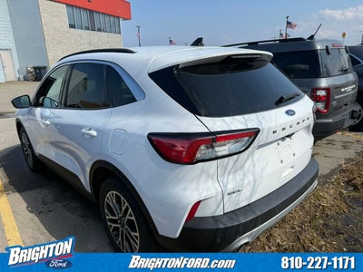 2020 Ford Escape SEL
