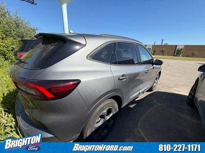 2024 Ford Escape ST-Line