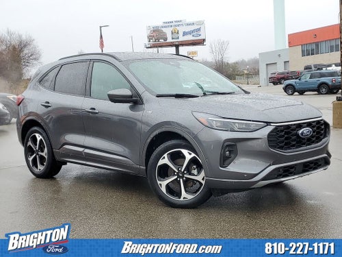 2024 Ford Escape Hybrid ST-Line Elite