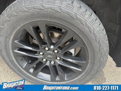 2023 Ford Expedition Max XLT