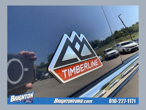 2023 Ford Expedition Timberline
