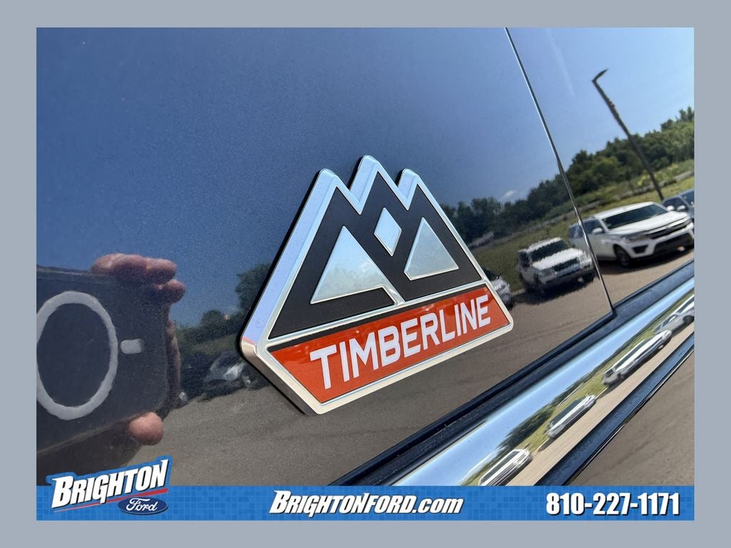 2023 Ford Expedition Timberline