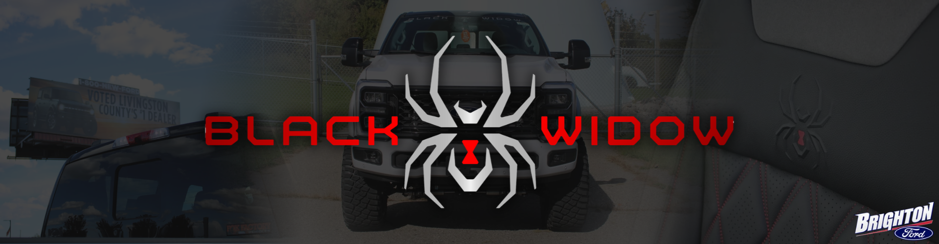 Brighton Ford Black Widow