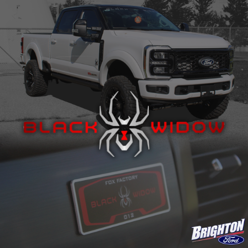 Brighton Ford Black Widow